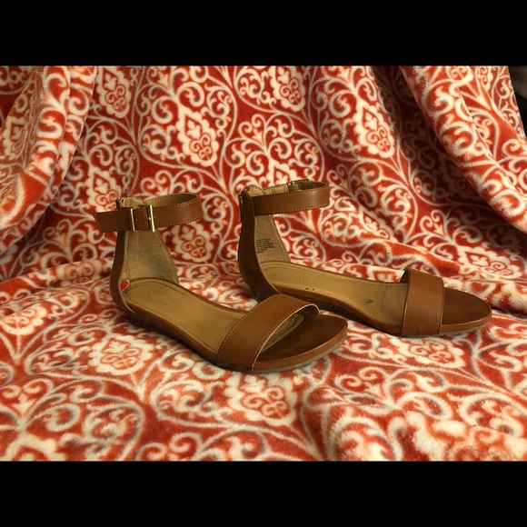 Sanders - Picture 4 of 4